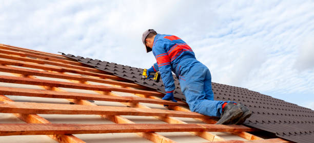 Best Roof Leak Repair  in Prior Lake, MN